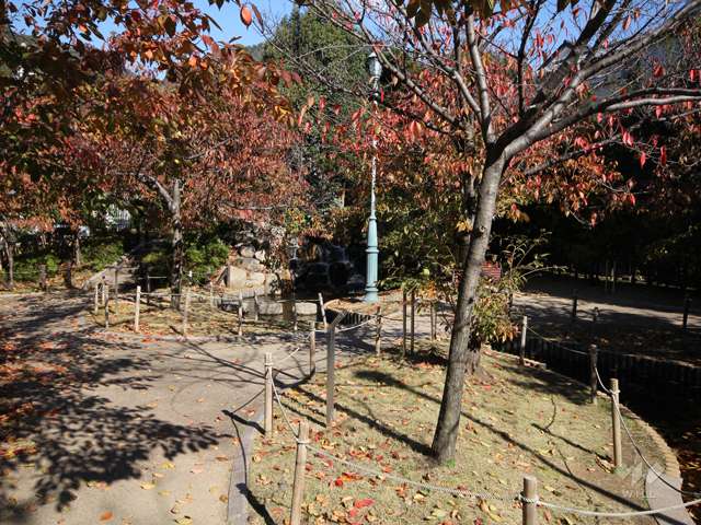 桜守公園1