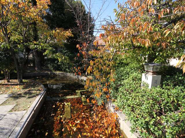 桜守公園4
