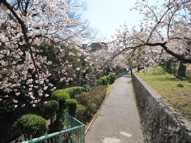 王子公園1