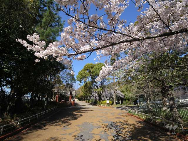 王子公園3