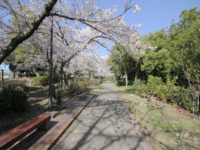 王子公園5