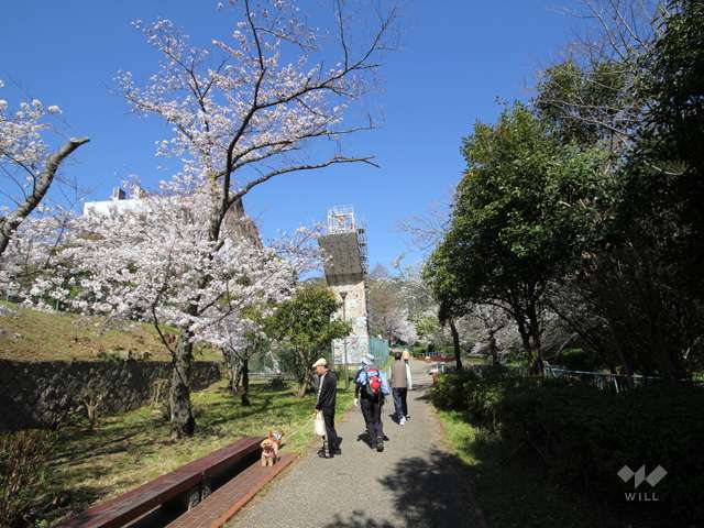 王子公園6