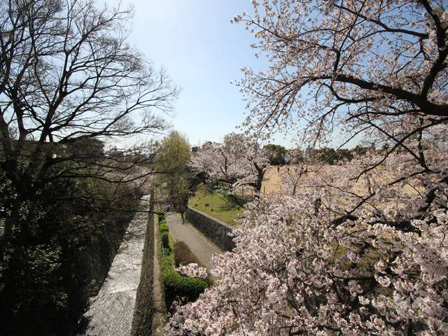 王子公園9