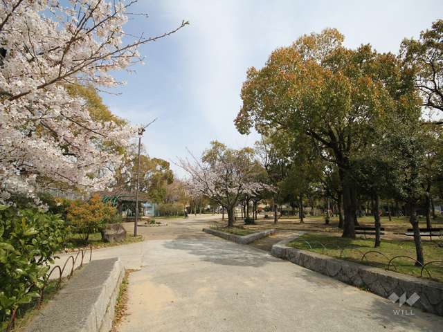 大和公園6