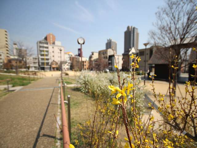 六甲風の郷公園2