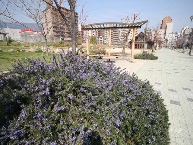 六甲風の郷公園4