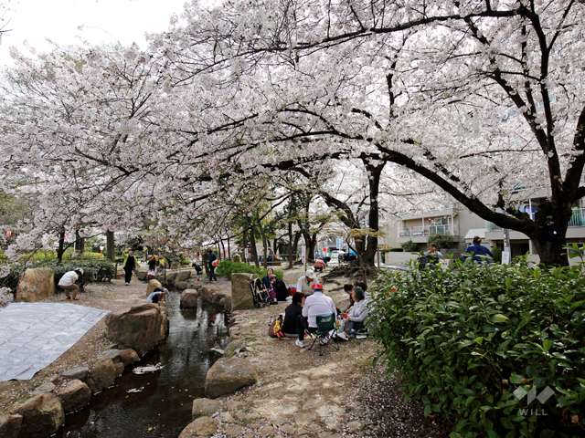 元茨木川緑地5