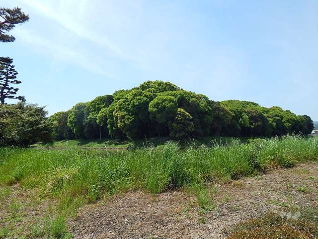太田茶臼山古墳6