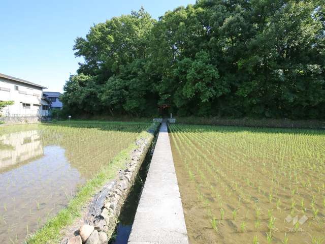 千吉稲荷神社1
