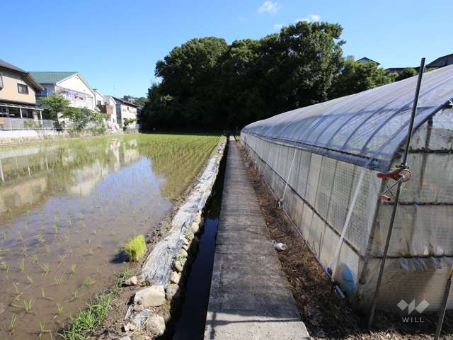 千吉稲荷神社3