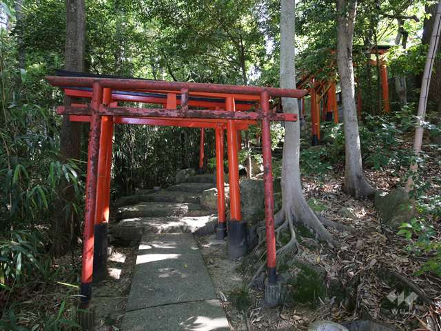 千吉稲荷神社5