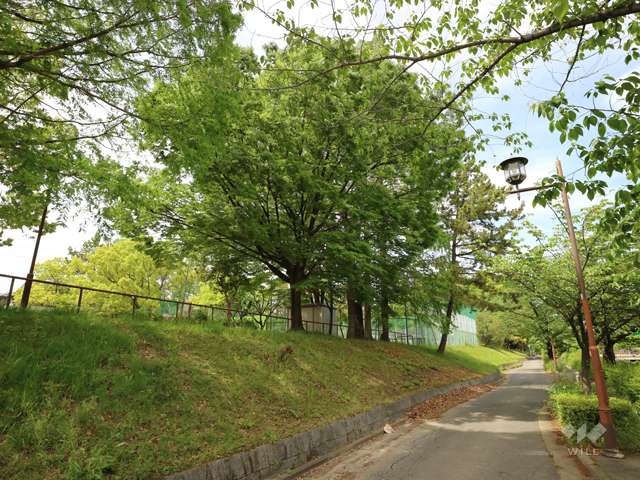 一社公園2