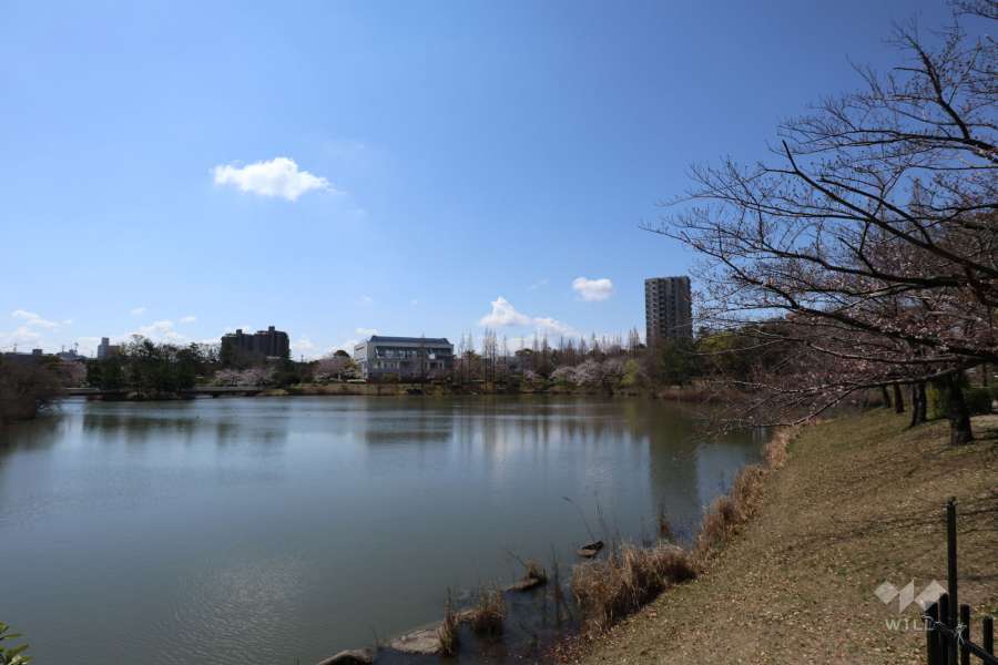 杁ヶ池公園2