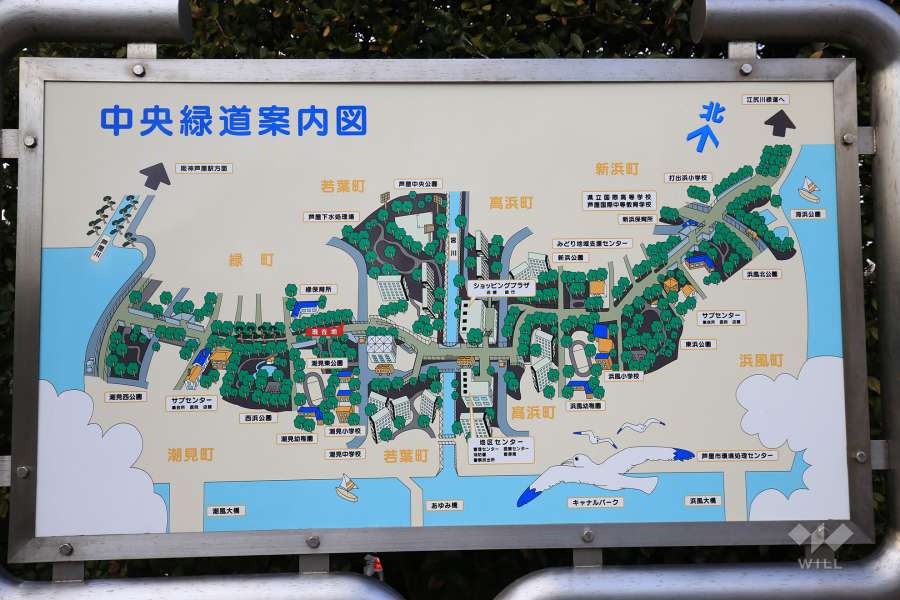 中央緑道2