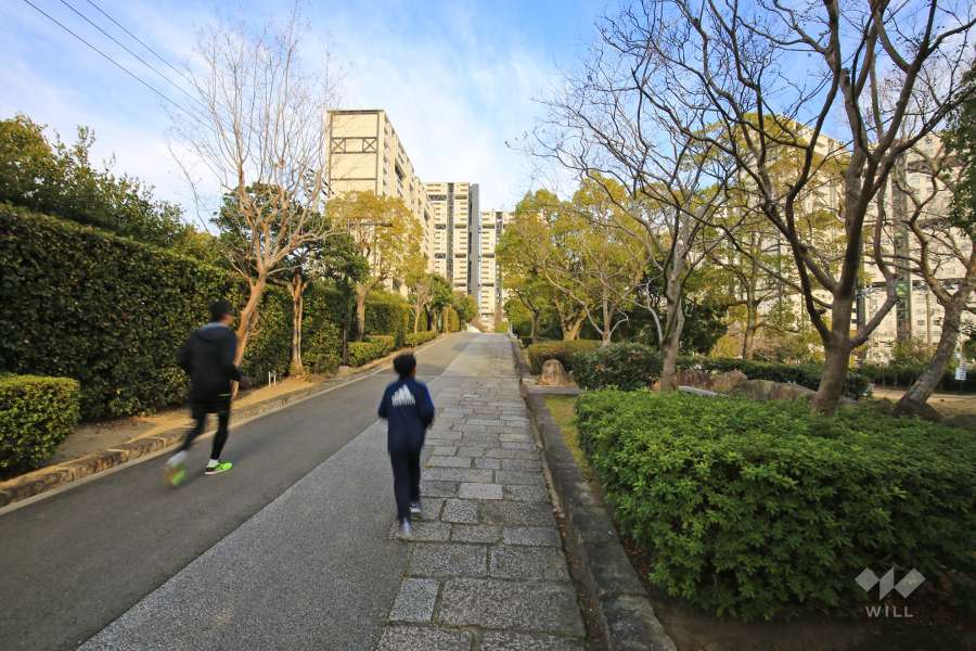 中央緑道1