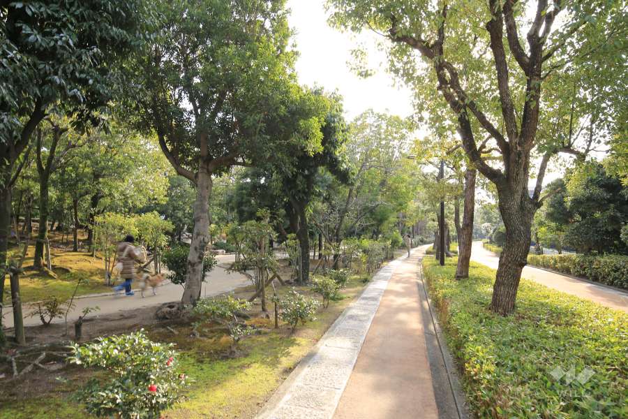 中央緑道4
