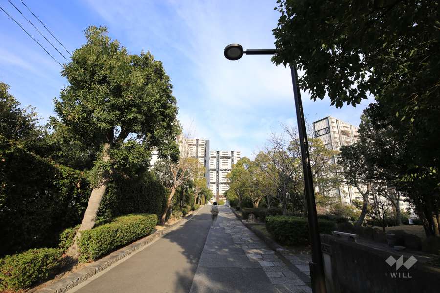 中央緑道5