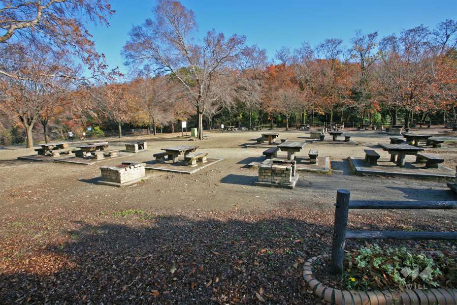 天白公園2
