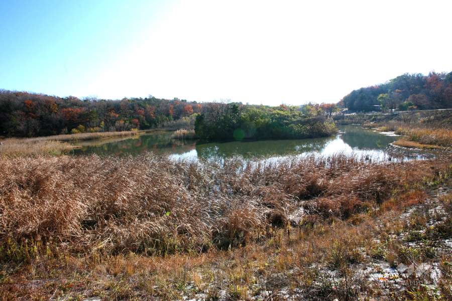 天白公園3