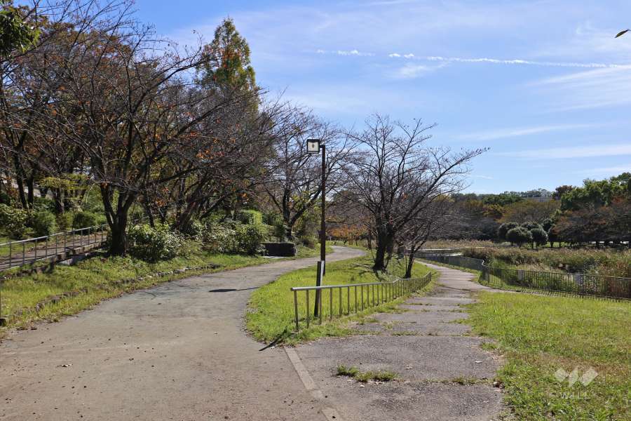 細口池公園2