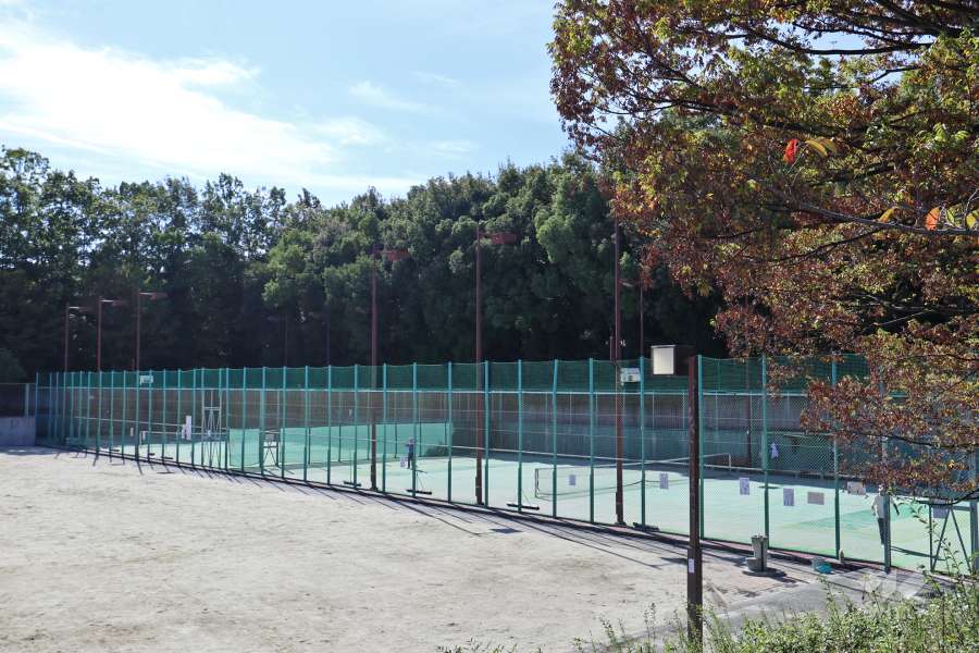 細口池公園3