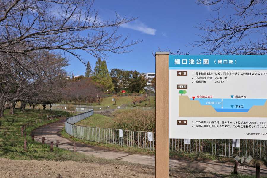 細口池公園4
