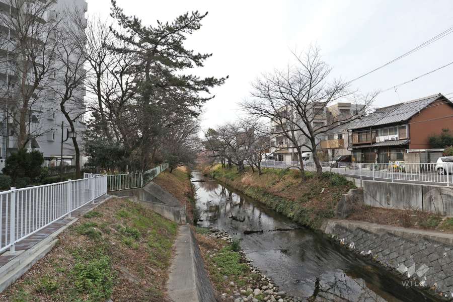 御用水跡街園と黒川樋門6