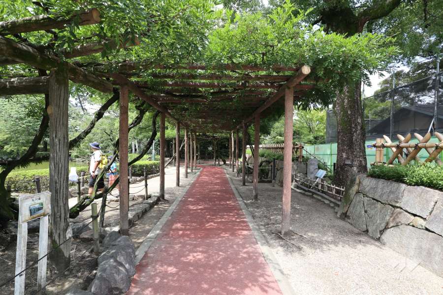 中村公園6