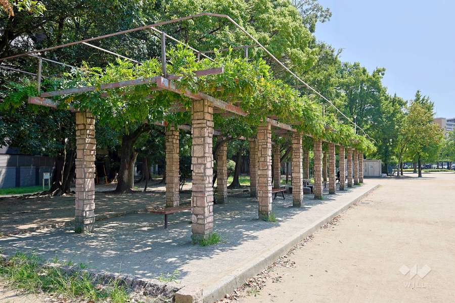 下福島運動場・下福島プール4