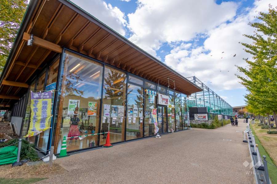 天王寺公園（天王寺動物園）6