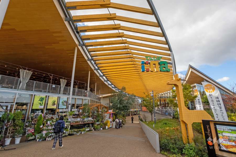 天王寺公園（天王寺動物園）10
