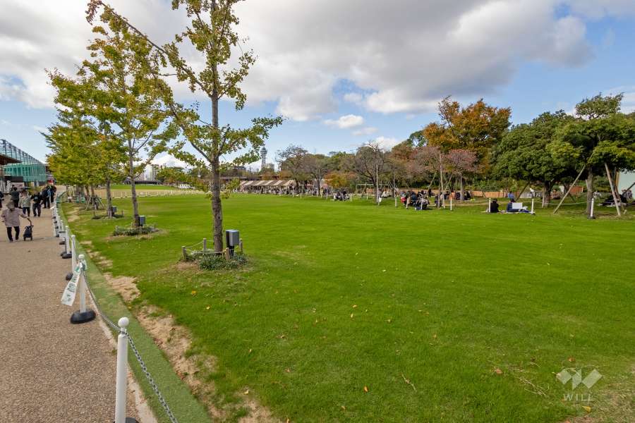 天王寺公園（天王寺動物園）8