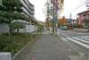 敷地北側の前面道路(東側から)