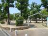 敷地の周辺には大きな公園があります。