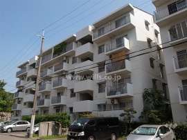 公団千里緑丘団地２９号棟