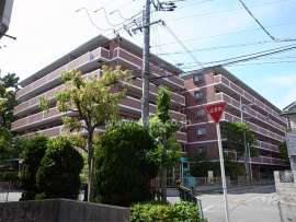 デ・リード緑地公園　