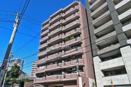 千代田アイリス