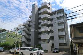 ユニロイヤル白壁