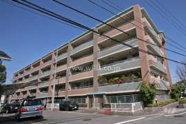 カルティア赤池