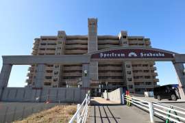 スペクトル船頭場