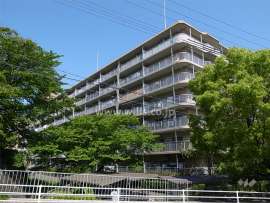 千里一条池スカイハイツC棟外観