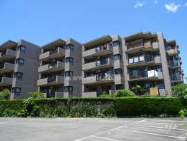 東急ドエルアルス津雲台　