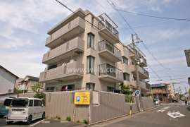 丸美ロイヤル桜