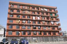 シャンボール道徳