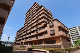 シティコーポ鳩岡B棟