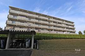 岩成台西団地505号棟