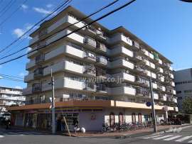 立花グリーンハイツ7号棟