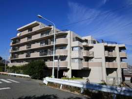 武庫川公園レックスマンション