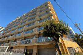 ライオンズマンション南品川