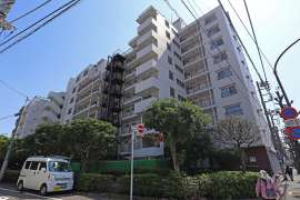 ライオンズマンション上野毛A棟